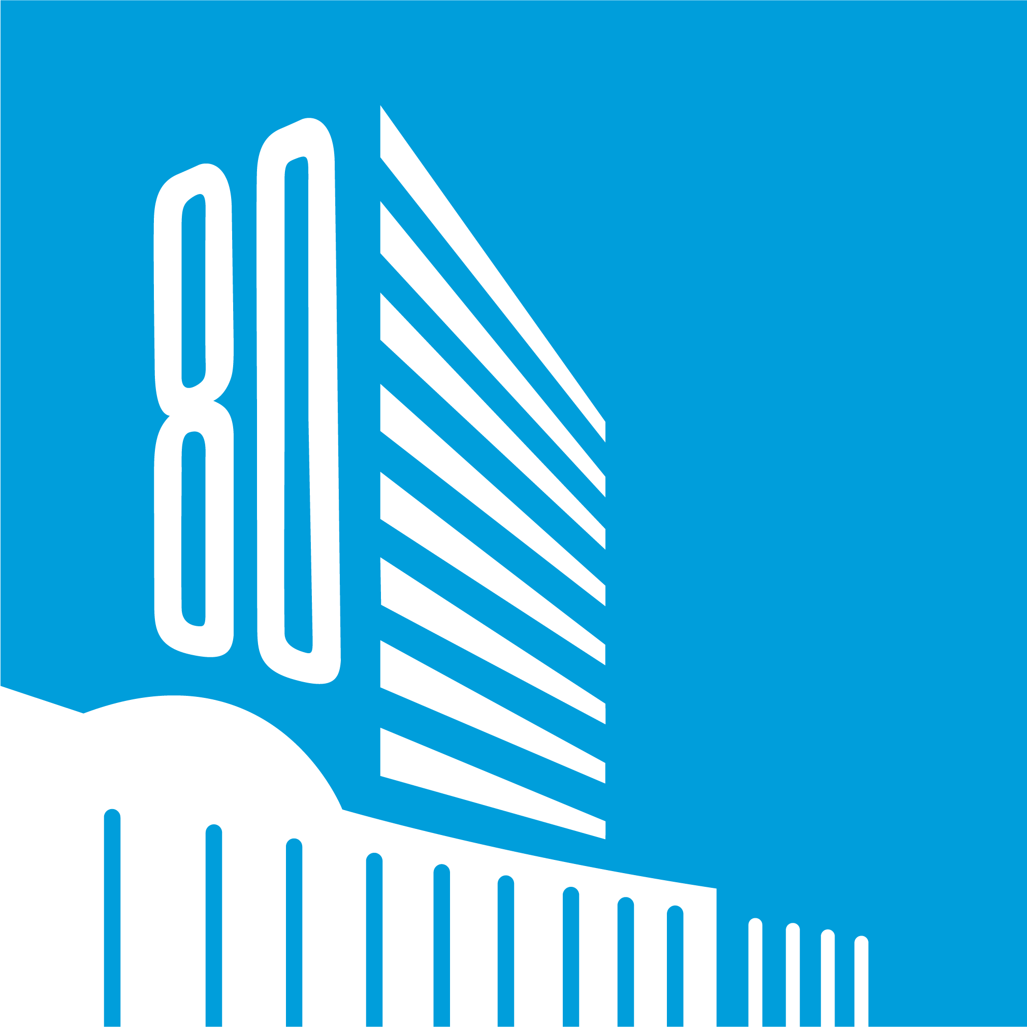 UNGA 80